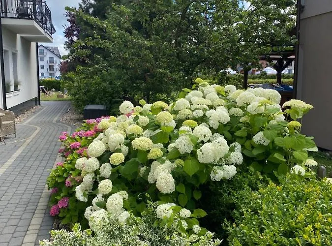 Atena Nocleg ze śniadaniem