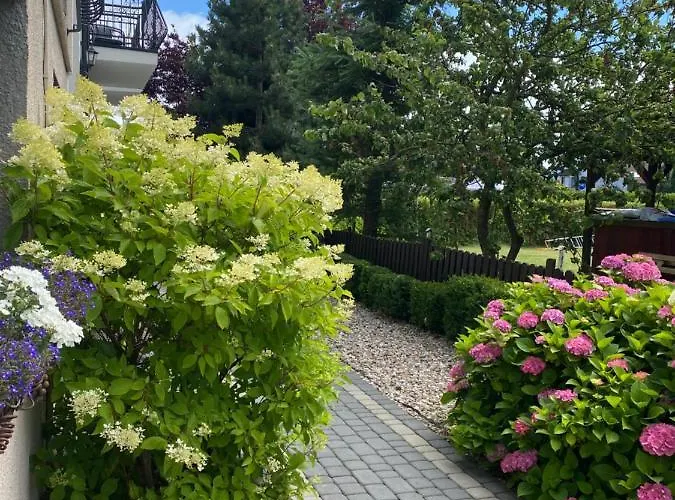 Atena Bed and Breakfast 3*